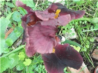 bddacf2f-martaaa 039.jpg